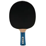 Donic Schildkröt Waldner 3000, ITTF Belag, 751803