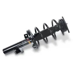 Gh Federbein komplett vorne [Hersteller-Nr. GH-352549C01] für Ford