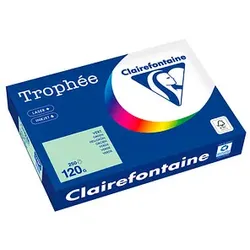 Clairefontaine Kopierpapier Trophée hellgrün DIN A4 120 g/m2 250 Blatt