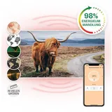 Klarstein Air Art Smart Infrarotheizung, Infrarot Heizung mit IoT/WiFi App-Steuerung, Erkennung Offener Fenster, Infrarotheizung mit Thermostat, He... - Bunt