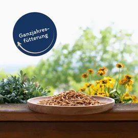 Lyra Pet 3 x 1 kg Lyra Pet® Mehlwürmer getrocknet