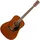 Fender CD-60S Dreadnought All Mahogany WN 