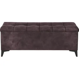ed exciting design Sitzbank Oregon Aubergine 140 x 58 x 50 cm