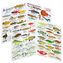 Fischfaltblatt - Mittelmeer