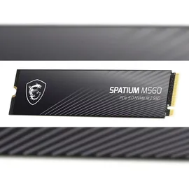 MSI Spatium M560 1 TB M.2