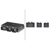 Hella 5DS 010 159-011 Steuergerät, Anhängevorrichtung - 12V