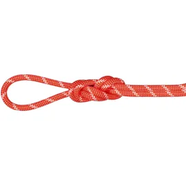 Mammut Kletterseil 60 m Orange/Weiß
