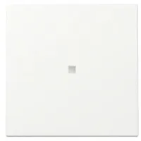 Gira Wippschalter 329027