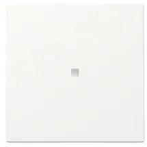 Gira Wippschalter 329027