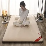 Verbesserte Japanische Bodenmatratze, Faltbare Matratze, Futon-Schlafsofa, Einzel-Klappbodenmatratze, Bodenbett-Gästematratze, Tragbare Und Faltbare Campingmatratze ( Color : C , Size : 100x200cm )
