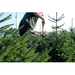 231 Heckenschere, kurze Handgriffe, lange Klinge
