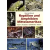 Reptilien und Amphibien Mittelamerikas