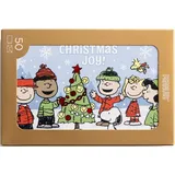 DaySpring - Peanuts Gang: Christmas Joy! Inspirierende Karten mit Umschlägen (J9694), 50 Stück