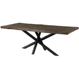 MASSIVMOEBEL24.DE Baumtisch Mango 220 x 76 x 100 cm grau