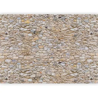 Fototapete murando Steinoptik 400x280 cm Vlies Tapeten Wandtapete XXL Moderne Wanddeko Design Wand Dekoration Wohnzimmer Schlafzimmer Büro Flur Steintapete Steine Mauer Steinoptik 3D