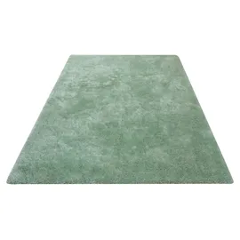 Bruno Banani Dana Teppich 300 x 400 cm Grün/Mint