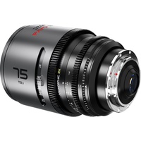 DZOFilm Pavo 2x Anamorphic 3-Lens Kit (28/40/75mm T2.1) für