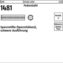 F. REYHER Nchfg. GmbH & Co. KG Spannstift DIN 1481 5 x 20 mm 100 Stück