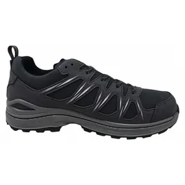 Lowa Innox EVO II GTX grau/grau 42,5