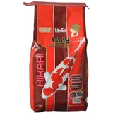 Hikari Gold Large