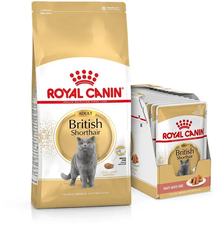 ROYAL CANIN British Shorthair Katzenfutter trocken für Britisch Kurzhaar 10 kg + Nassfutter für Britisch Kurzhaar 12x85 g