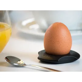 Brainstream Cregg Eierköpfer multifunktional schwarz