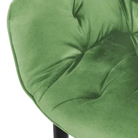 ML-Design Esszimmerstühle 2er Set Salbei aus Dickem Samtstoff