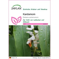 SAFLAX - Kräuter - Kardamom - 20 Samen -