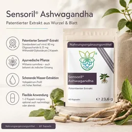 VITARAGNA Sensoril Ashwagandha Withanolide Kapseln 60 St.