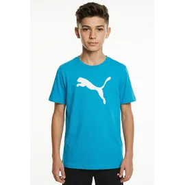 Puma teamRISE Logo Baumwolltrikot Jungen 02 speed blue/white 176