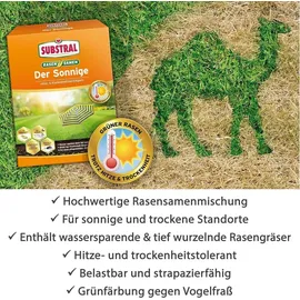 Substral Rasensamen Der Sonnige 1,125 kg für 50 m2