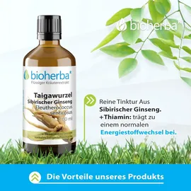 Bioherba Taigawurzel Sibirischer Ginseng Tropfen 50 ml