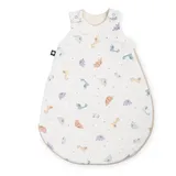 Julius Zöllner Julius Zöllner, Babyschlafsack, Babyschlafsack Sky - Little Dinos (68 cm, 2.5 TOG, Ganzjahr) - 2 Jahre Gewährleistung - mind. 14 Tage Rückgaberecht - Bunt - n.a.