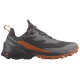 Salomon Cross Over 2 Goretex Wanderschuhe - Magnet / Phantom / Spice Route - EU 44 2/3