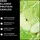 Neosupps Whey Protein Apfel Drink 500 g