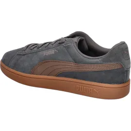 Puma Smash 3.0 Grau/Bronze 40,5