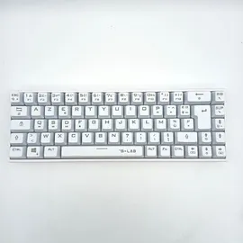 THE G-LAB Keyz Titanium 65% RGB/Filaire/Blanc (DE, Kabelgebunden), Tastatur, Weiss