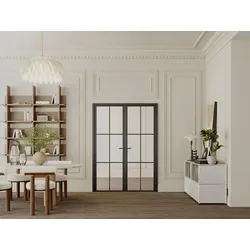 Tür-Set - zwei Flügel - Aluminium & Sicherheitsglas - 204 x 146 cm - Schwarz - SEROTO