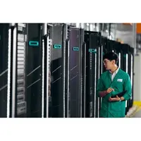 HP HPE ProLiant DL20 Gen11 NS204i-u Aktivierungskit (P65410-B21)