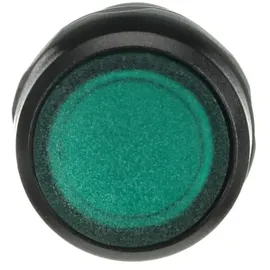 ABB Leuchtdrucktaster CP1-11G-10