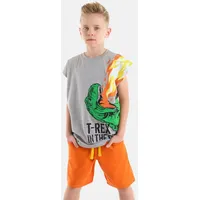 Denokids Set T-Rex Flame in Grey Melange | Gr.: