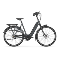 Gazelle E-Bike Arroyo C5 HMB Elite Belt Bosch Performance Line (75Nm) 28 Zoll...