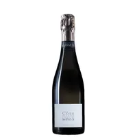 Halbe Flasche - Champagner le Brun de Neuville - Côte Blanche - Blanc de Blancs