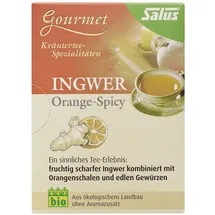 SALUS Orange Ingwer Kräutertee 15x2 g
