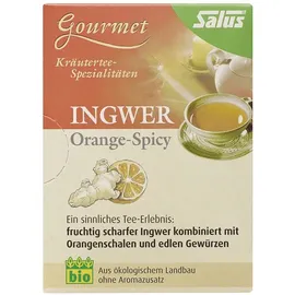 SALUS Orange Ingwer Kräutertee 15x2 g