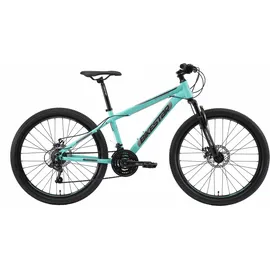 Bikestar Mountainbike 26 Zoll RH 38 cm Damen grün/türkis