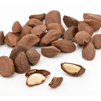 1kg BIO Paranüsse ganz in Schale aktuelle Ernte - **KNALLERPREIS** 0 0