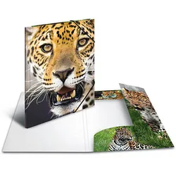 3 HERMA Zeichenmappen DIN A3 Leoparden