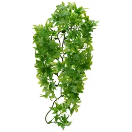 Zoo Med ZooMed Zoo Med BU-22 Congo Ivy, Medium
