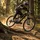 Haibike Allmtn CF 9 2026 29 Zoll RH 54 cm schwarz/weiß